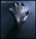images/avatars/avatar-41.gif